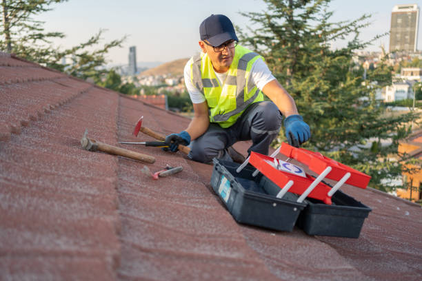 Siding Removal and Disposal in Tenino, WA